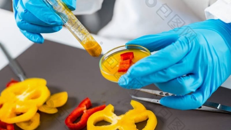 上海食品招商代理：如何慧眼识珠，找到可靠伙伴**